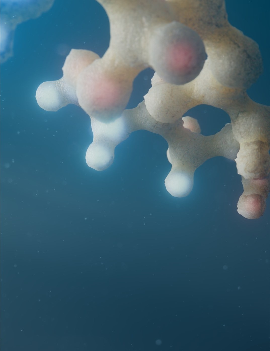 This 3d animation shows chitosan in the water attracting pollutants .jpg